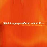 Bitspyder.net