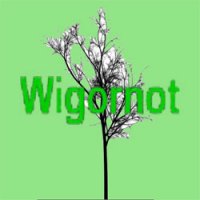 Wigornot.com